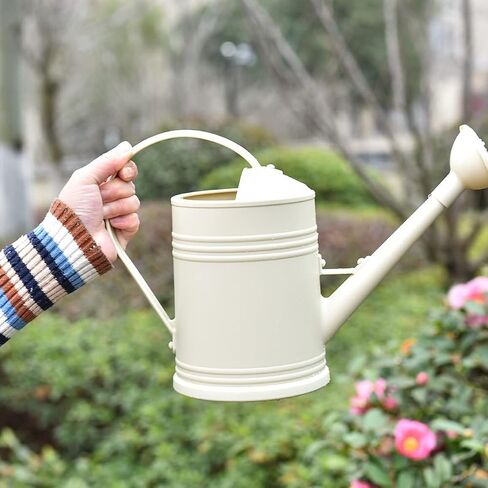 Watering Cans for House Plants, Small, Indoor/Outdoor Plants Garden Flower (1/2 Gallon, Black) in Saudi Arabia