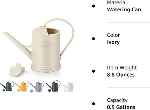 Watering Cans for House Plants, Small, Indoor/Outdoor Plants Garden Flower (1/2 Gallon, Black) in Saudi Arabia