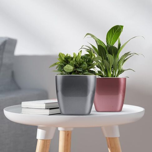 HEMOPLT Plant Pots - Self Watering Pots for Indoor Plants - Planters for Indoor Plants - Pack of 6 5" & 7" African Violet Pots - Orchid Pots - Champagne Gold - Silver - Rose Gold in Kuwait