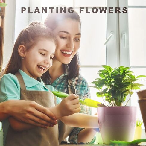 HEMOPLT Plant Pots - Self Watering Pots for Indoor Plants - Planters for Indoor Plants - Pack of 6 5" & 7" African Violet Pots - Orchid Pots - Champagne Gold - Silver - Rose Gold in Kuwait