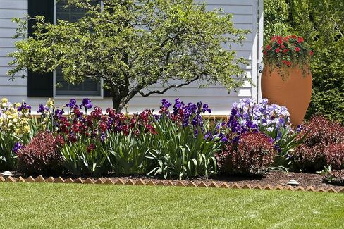 Emsco Group 2233-1 Rescue 50 Gallon Flatback Stoneware Urn Rain Barell, 50 Gallons, Sand in Kuwait