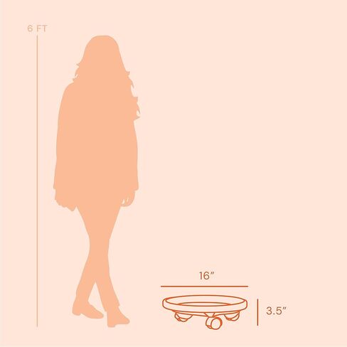 علبة حامل نباتات مستديرة من Bloem مع صينية صحن بعجلات (CAD1600)، أسود، 16 بوصة in Kuwait