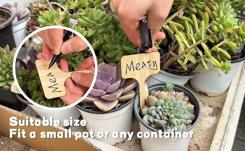 Boxgear 50pcs Bamboo Plant Labels (T-Type) with a Marker Pen, Garden Markers, Plant Tags, Wooden Plant Sign, Gardening Accessories, Garden Markers for Seed Potted Herbs Flowers Vegetables in Kuwait