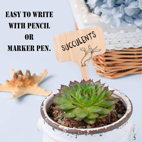 Boxgear 50pcs Bamboo Plant Labels (T-Type) with a Marker Pen, Garden Markers, Plant Tags, Wooden Plant Sign, Gardening Accessories, Garden Markers for Seed Potted Herbs Flowers Vegetables in Kuwait