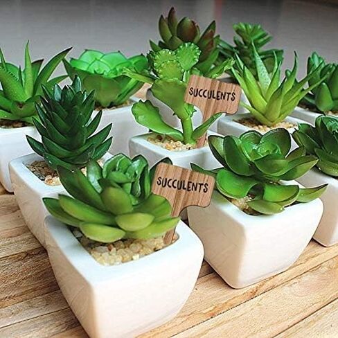 Boxgear 50pcs Bamboo Plant Labels (T-Type) with a Marker Pen, Garden Markers, Plant Tags, Wooden Plant Sign, Gardening Accessories, Garden Markers for Seed Potted Herbs Flowers Vegetables in Kuwait