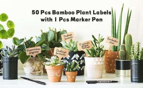 Boxgear 50pcs Bamboo Plant Labels (T-Type) with a Marker Pen, Garden Markers, Plant Tags, Wooden Plant Sign, Gardening Accessories, Garden Markers for Seed Potted Herbs Flowers Vegetables in Kuwait