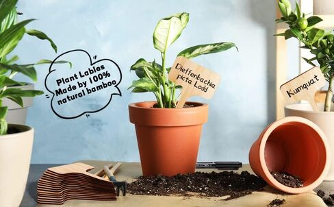 Boxgear 50pcs Bamboo Plant Labels (T-Type) with a Marker Pen, Garden Markers, Plant Tags, Wooden Plant Sign, Gardening Accessories, Garden Markers for Seed Potted Herbs Flowers Vegetables in Kuwait