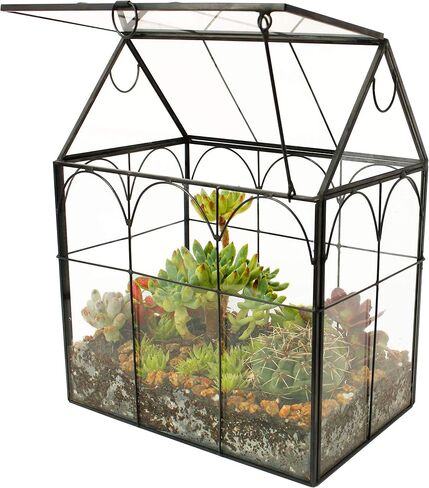Glass Geometric Plant Terrarium Container, Flower Pot Tabletop Planter Decor Glass Display Box Succulent & Air Planter for Home Garden Office Decoration(Black Cubic Set of 2) in Kuwait