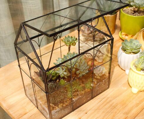 Glass Geometric Plant Terrarium Container, Flower Pot Tabletop Planter Decor Glass Display Box Succulent & Air Planter for Home Garden Office Decoration(Black Cubic Set of 2) in Kuwait