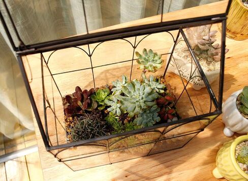 Glass Geometric Plant Terrarium Container, Flower Pot Tabletop Planter Decor Glass Display Box Succulent & Air Planter for Home Garden Office Decoration(Black Cubic Set of 2) in Kuwait