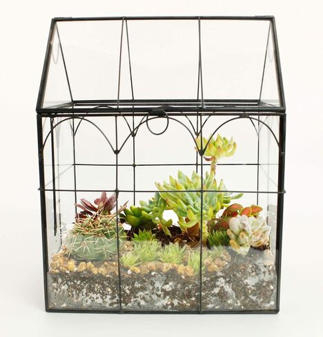 Glass Geometric Plant Terrarium Container, Flower Pot Tabletop Planter Decor Glass Display Box Succulent & Air Planter for Home Garden Office Decoration(Black Cubic Set of 2) in Kuwait
