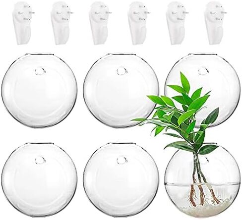yarlung Set of 6 Wall Hanging Planters Terrarium, Glass Oblate Globe Plants Containers Wall Mount Flower Vase for Propagating Hydroponics Plants, Air Plants (Plants Not Included) in Saudi Arabia