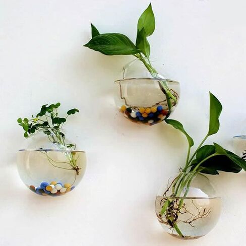 yarlung Set of 6 Wall Hanging Planters Terrarium, Glass Oblate Globe Plants Containers Wall Mount Flower Vase for Propagating Hydroponics Plants, Air Plants (Plants Not Included) in Saudi Arabia
