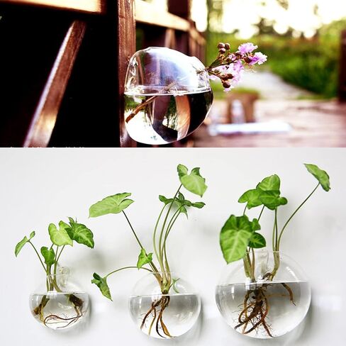 yarlung Set of 6 Wall Hanging Planters Terrarium, Glass Oblate Globe Plants Containers Wall Mount Flower Vase for Propagating Hydroponics Plants, Air Plants (Plants Not Included) in Saudi Arabia
