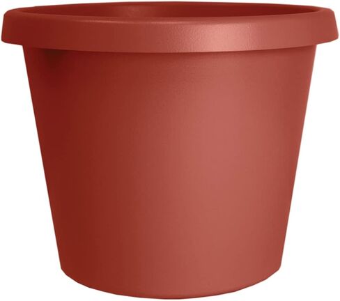 The HC Companies 6 Inch Round Prima Planter - Small Plastic Plant Pot with Rolled Rim for Indoor Outdoor Plants Flowers Herbs, Black in Saudi Arabia