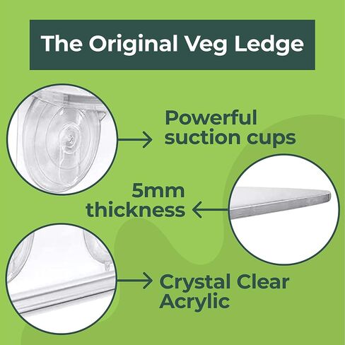 Window Garden Veg Ledge Suction Cup Window Shelf – Create an Indoor Garden, Hold Your Planter Pots, Seed Starter, Figurines on Your Window. Grow Herbs, Microgreens, Succulents, Sleek (2 Pack) in Saudi Arabia