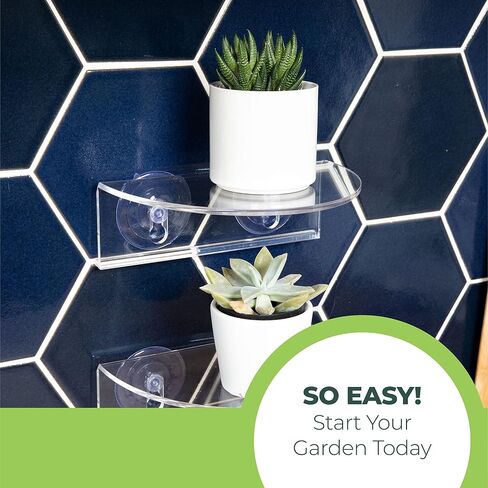 Window Garden Veg Ledge Suction Cup Window Shelf – Create an Indoor Garden, Hold Your Planter Pots, Seed Starter, Figurines on Your Window. Grow Herbs, Microgreens, Succulents, Sleek (2 Pack) in Saudi Arabia