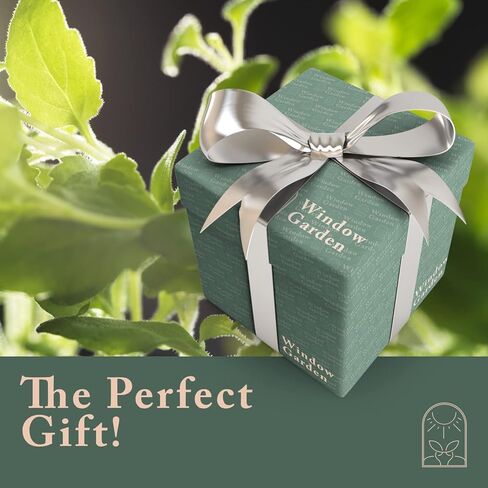 رف نافذة على شكل كأس شفط للنباتات في حديقة النافذة - قم بإنشاء حديقة داخلية، واحتفظ بأواني الزرع الخاصة بك، وبادئ البذور، والتماثيل على نافذتك. تنمو الأعشاب، ميكروغرين، العصارة، أنيق (2 حزمة) in Kuwait