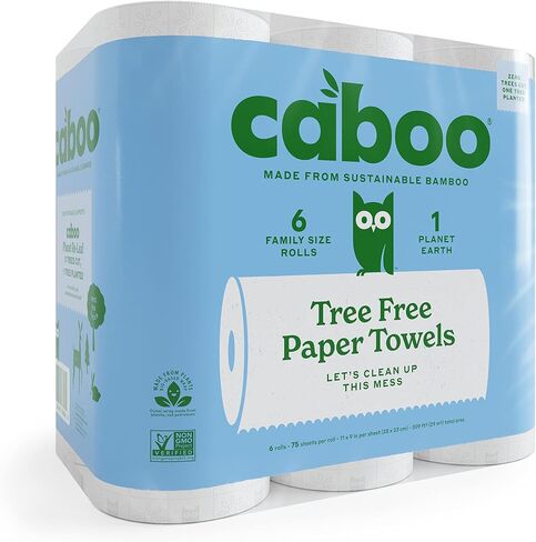Caboo Tree Free Paper Towels, 2 Rolls, Tree Free, Eco Friendly, Earth Friendly, Sustainable Kitchen Paper Towels with Strong 2 Ply Sheets in Kuwait