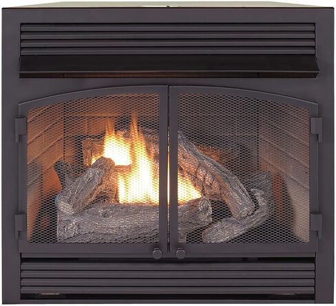 Duluth Forge Dual Fuel Ventless Gas Fireplace Insert - 32,000 BTU, T-Stat Control - Model# FDF400T-ZC-R (Renewed), Black in Saudi Arabia