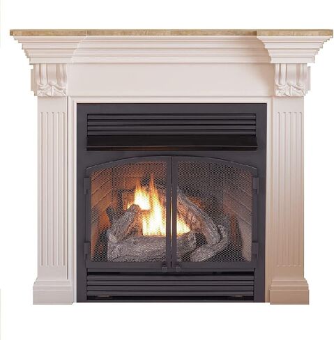 Duluth Forge Dual Fuel Ventless Gas Fireplace Insert - 32,000 BTU, T-Stat Control - Model# FDF400T-ZC-R (Renewed), Black in Saudi Arabia
