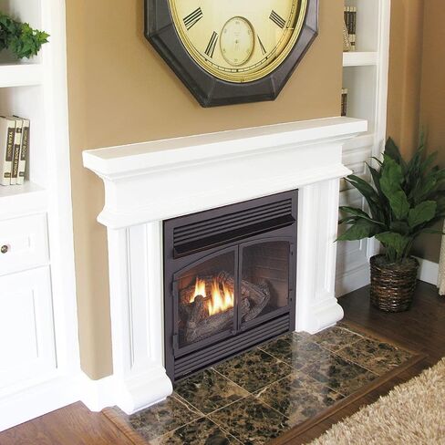 Duluth Forge Dual Fuel Ventless Gas Fireplace Insert - 32,000 BTU, T-Stat Control - Model# FDF400T-ZC-R (Renewed), Black in Saudi Arabia