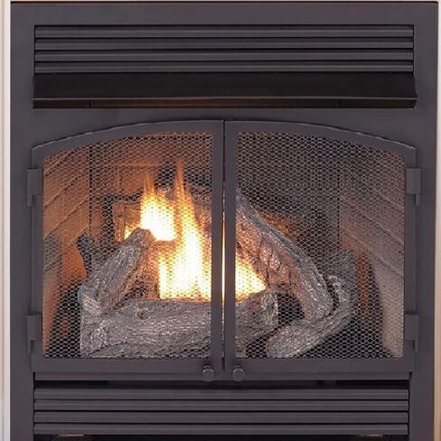 Duluth Forge Dual Fuel Ventless Gas Fireplace Insert - 32,000 BTU, T-Stat Control - Model# FDF400T-ZC-R (Renewed), Black in Saudi Arabia