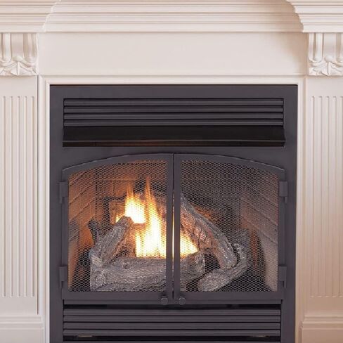 Duluth Forge Dual Fuel Ventless Gas Fireplace Insert - 32,000 BTU, T-Stat Control - Model# FDF400T-ZC-R (Renewed), Black in Saudi Arabia