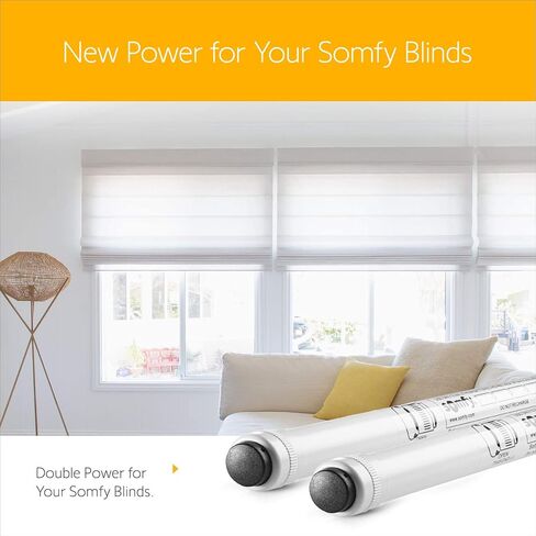 somfy 12V DC Reloadable Battery Tube - Power Blinds & Shades - Replacement Battery Tube - Wall Mount Clips Included - #9018685 in Saudi Arabia