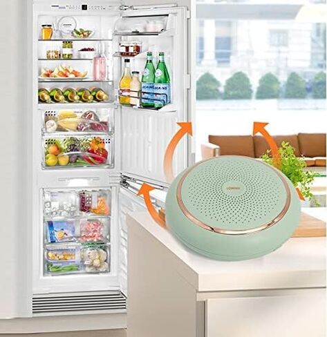 LOMNH Refrigerator Deodorizer, Ozone Odor Remove, Portable Mini Refrigerator deodorizer effectively remove odor in the refrigerator in Kuwait