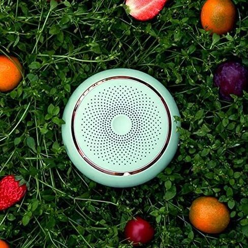 LOMNH Refrigerator Deodorizer, Ozone Odor Remove, Portable Mini Refrigerator deodorizer effectively remove odor in the refrigerator in Kuwait