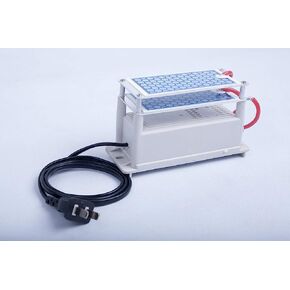 Ozone Generator air purifier 10000 mg/h Equal to 10g/h ozone plates ozone maker machine 110V in Saudi Arabia