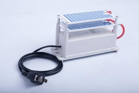 Ozone Generator air purifier 10000 mg/h Equal to 10g/h ozone plates ozone maker machine 110V in Saudi Arabia
