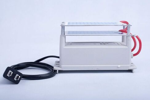 Ozone Generator air purifier 10000 mg/h Equal to 10g/h ozone plates ozone maker machine 110V in Saudi Arabia
