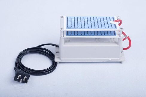 Ozone Generator air purifier 10000 mg/h Equal to 10g/h ozone plates ozone maker machine 110V in Saudi Arabia