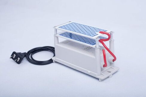 Ozone Generator air purifier 10000 mg/h Equal to 10g/h ozone plates ozone maker machine 110V in Saudi Arabia