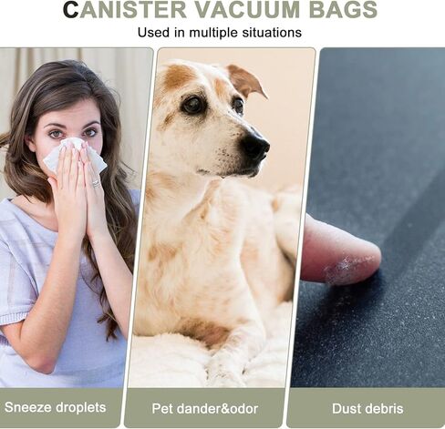 PETOX 12 حزمة PKBB12OF أكياس استبدال فراغ تناسب Oreck BB180 BB280 BB850 BB870 BB880 BB900 BB1000 BB1100 BB1200 MV160 وCC1600 مع 1 مرشح صغير in Kuwait