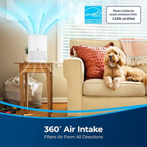 BISSELL MYair Air Purifier with High Efficiency and Carbon Filter for Small Room and Home, Quiet Air Cleaner for Allergens, Pets, Dust, Dander, Pollen, Smoke, Hair, Odors, Timer, 2780A in Kuwait