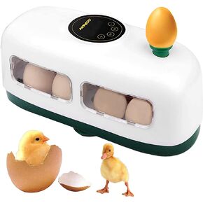 حاضنة بيض الدجاج، تتحكم تلقائيًا في الرطوبة ودرجة الحرارة مع وظيفة اختبار البيض المخصب، تفقس أنواعًا مختلفة من البيض (8 بيضات دجاج) in Kuwait
