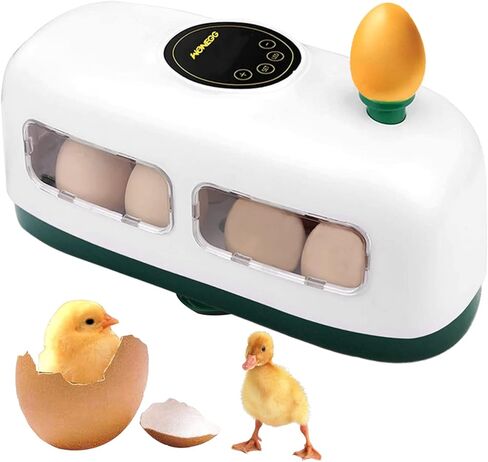 حاضنة بيض الدجاج، تتحكم تلقائيًا في الرطوبة ودرجة الحرارة مع وظيفة اختبار البيض المخصب، تفقس أنواعًا مختلفة من البيض (8 بيضات دجاج) in Kuwait
