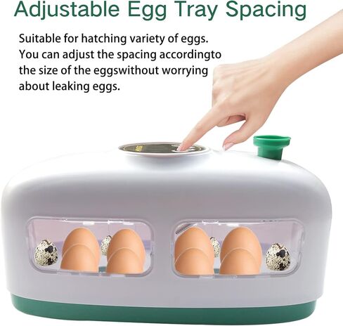 حاضنة بيض الدجاج، تتحكم تلقائيًا في الرطوبة ودرجة الحرارة مع وظيفة اختبار البيض المخصب، تفقس أنواعًا مختلفة من البيض (8 بيضات دجاج) in Kuwait