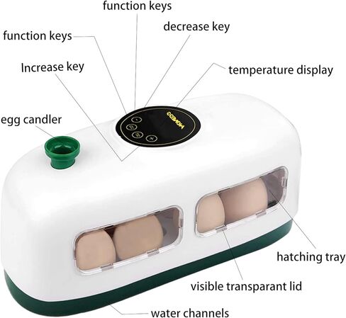 حاضنة بيض الدجاج، تتحكم تلقائيًا في الرطوبة ودرجة الحرارة مع وظيفة اختبار البيض المخصب، تفقس أنواعًا مختلفة من البيض (8 بيضات دجاج) in Kuwait