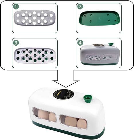 حاضنة بيض الدجاج، تتحكم تلقائيًا في الرطوبة ودرجة الحرارة مع وظيفة اختبار البيض المخصب، تفقس أنواعًا مختلفة من البيض (8 بيضات دجاج) in Kuwait