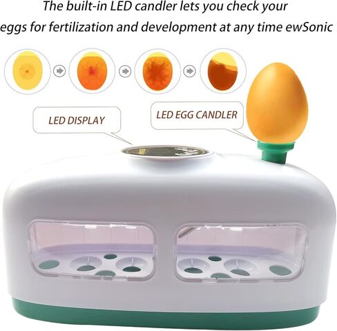 حاضنة بيض الدجاج، تتحكم تلقائيًا في الرطوبة ودرجة الحرارة مع وظيفة اختبار البيض المخصب، تفقس أنواعًا مختلفة من البيض (8 بيضات دجاج) in Kuwait