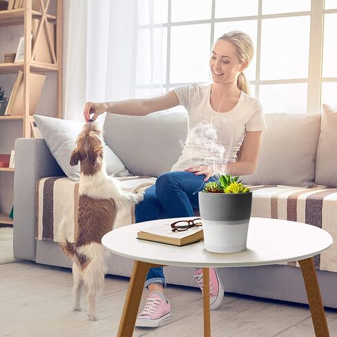 OLINLIFE Cool Mist Humidifier,Green Plants Mini Humidifier 150ml USB Portable Air Artificial Humidifier,LED Color Changing Light & 2 Mist Modes Ultra Quiet for Desktop Office Bedroom in Kuwait