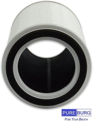 PUREBURG Replacement True HEPA Filters Compatible with TOPPIN Comfy Air C2 True Hepa Air Purifier TPAP001, 4-Stage Filtration High-efficiency Activated carbon,2-Pack in Saudi Arabia