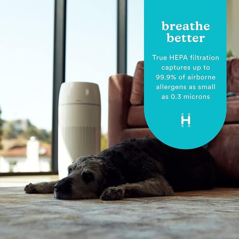 Homedics 5-in-1 PetPlus UV-C Air Purifier - 360-Degree HEPA Filter for 266 Sq Ft, Air Purifiers for Pets, Bedroom, and Home with Essential Oil Pads and Built-In Timer, 3 Speed Settings, White in Kuwait