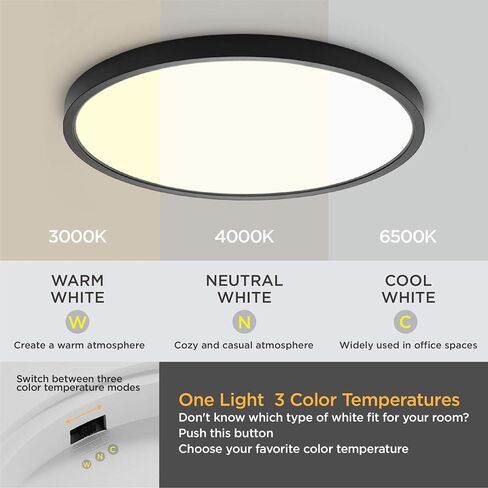 TALOYA 10 Inch Black LED Ceiling Light Fixture Flush Mount, 5-in-1 CCT Selectable (3000K/3500K/4000K/5000K/6500K), 2000LM 0.94inch Thickness Low Profile Surface Mounted Light Fixture for Hallway in Saudi Arabia