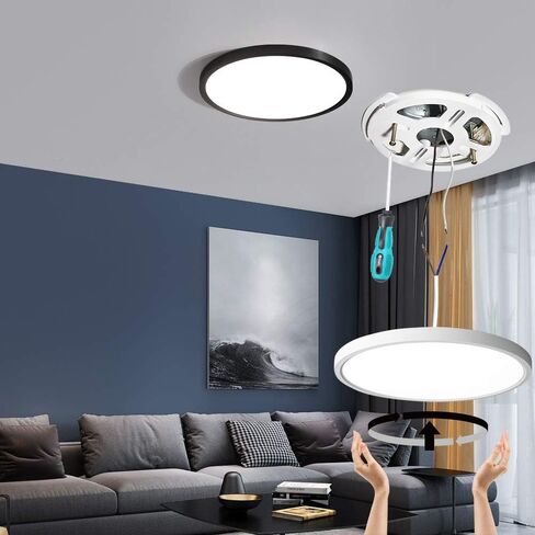 TALOYA 10 Inch Black LED Ceiling Light Fixture Flush Mount, 5-in-1 CCT Selectable (3000K/3500K/4000K/5000K/6500K), 2000LM 0.94inch Thickness Low Profile Surface Mounted Light Fixture for Hallway in Saudi Arabia