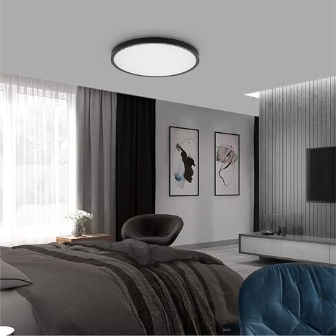 TALOYA 10 Inch Black LED Ceiling Light Fixture Flush Mount, 5-in-1 CCT Selectable (3000K/3500K/4000K/5000K/6500K), 2000LM 0.94inch Thickness Low Profile Surface Mounted Light Fixture for Hallway in Saudi Arabia